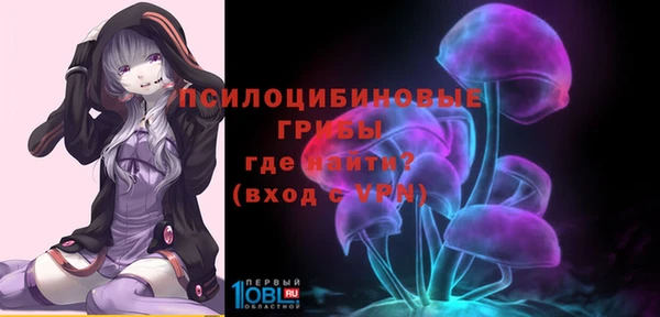 индика Алексеевка