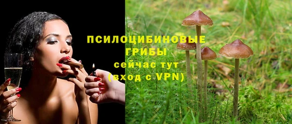 индика Алексеевка