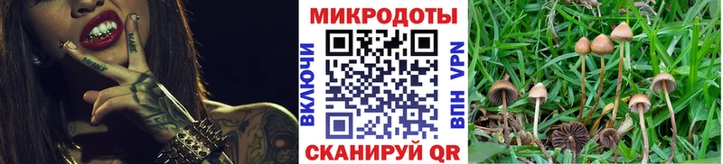 Псилоцибиновые грибы Magic Shrooms Лысьва