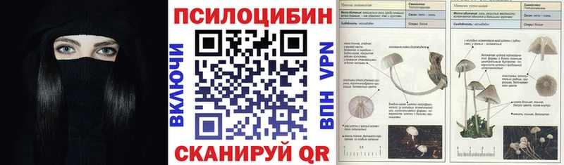дарнет шоп  OMG сайт  Псилоцибиновые грибы Magic Shrooms  Лысьва 